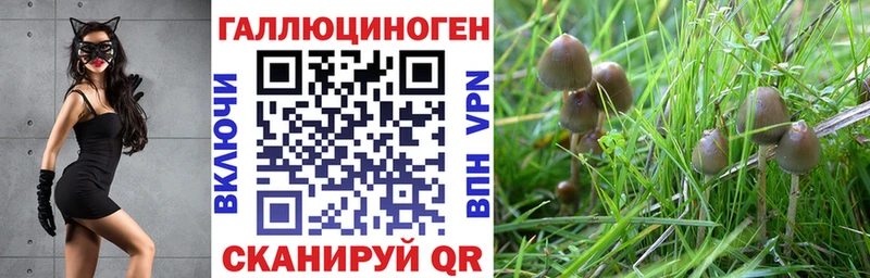 Галлюциногенные грибы MAGIC MUSHROOMS  кракен ONION  Черноголовка  где купить  
