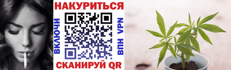 OMG зеркало  сколько стоит  Черноголовка  Канабис конопля 
